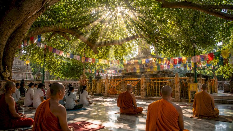 Mahabodhi Temple Bodh Gaya: The Sacred Place Where Buddha Attained Enlightenment | History, Bodhi Tree & Travel Guide 2026